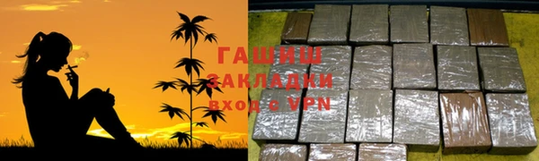 крисы Каменка