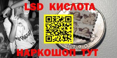 ECSTASY Новозыбков