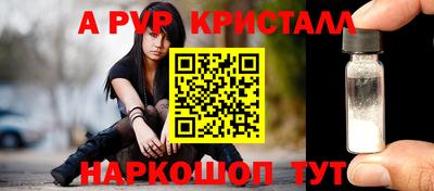 ECSTASY Новозыбков